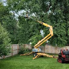 Leaf Removal in Strum, WI